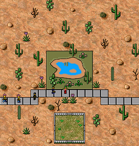 Desert scenery during June and July